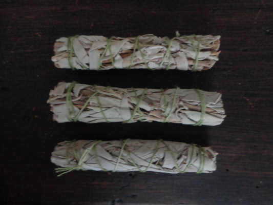 White Sage Smudge Sticks